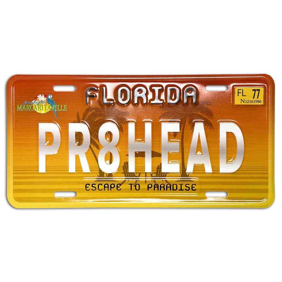 Embossed aluminum license plate, US car size, full color printing