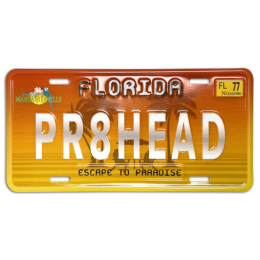 Embossed aluminum license plate, US car size, full color printing