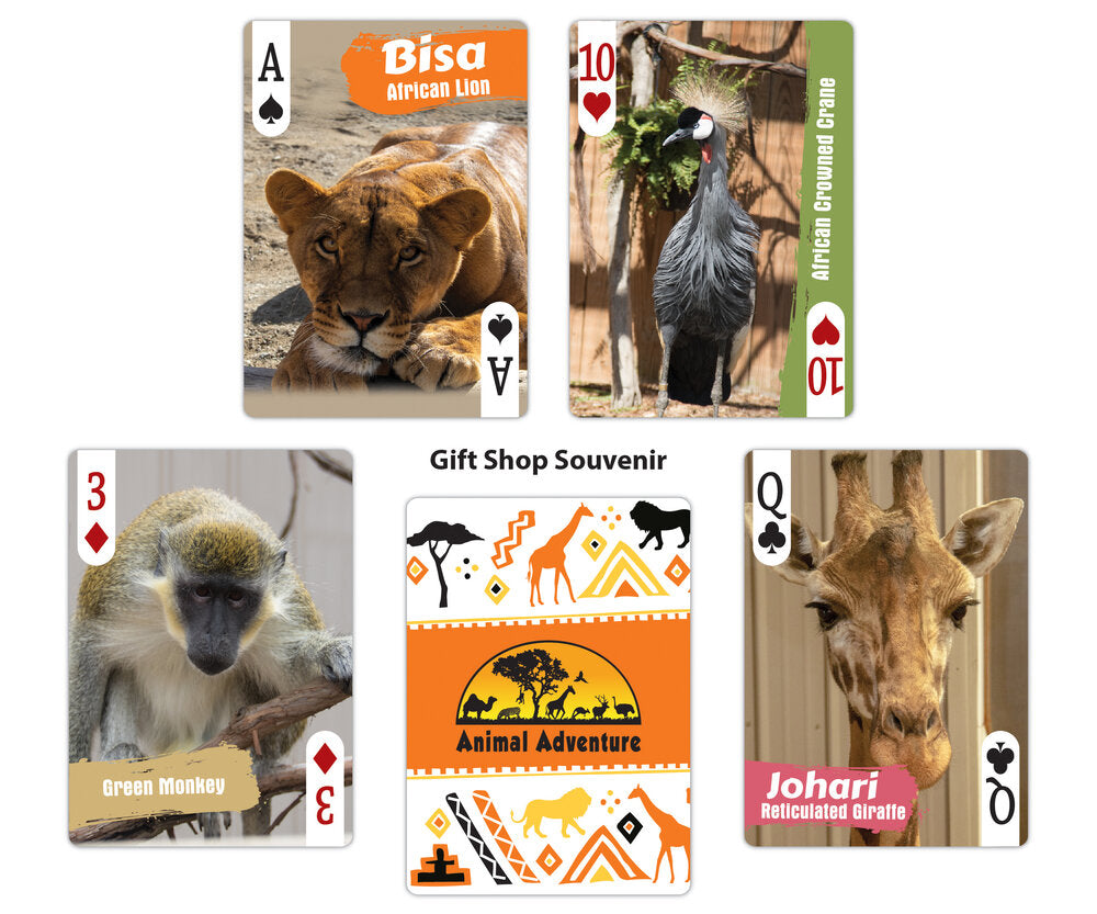 Playing cards, playing cards, poker size