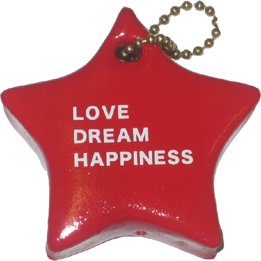 Key float, floating key holder, star, KF519