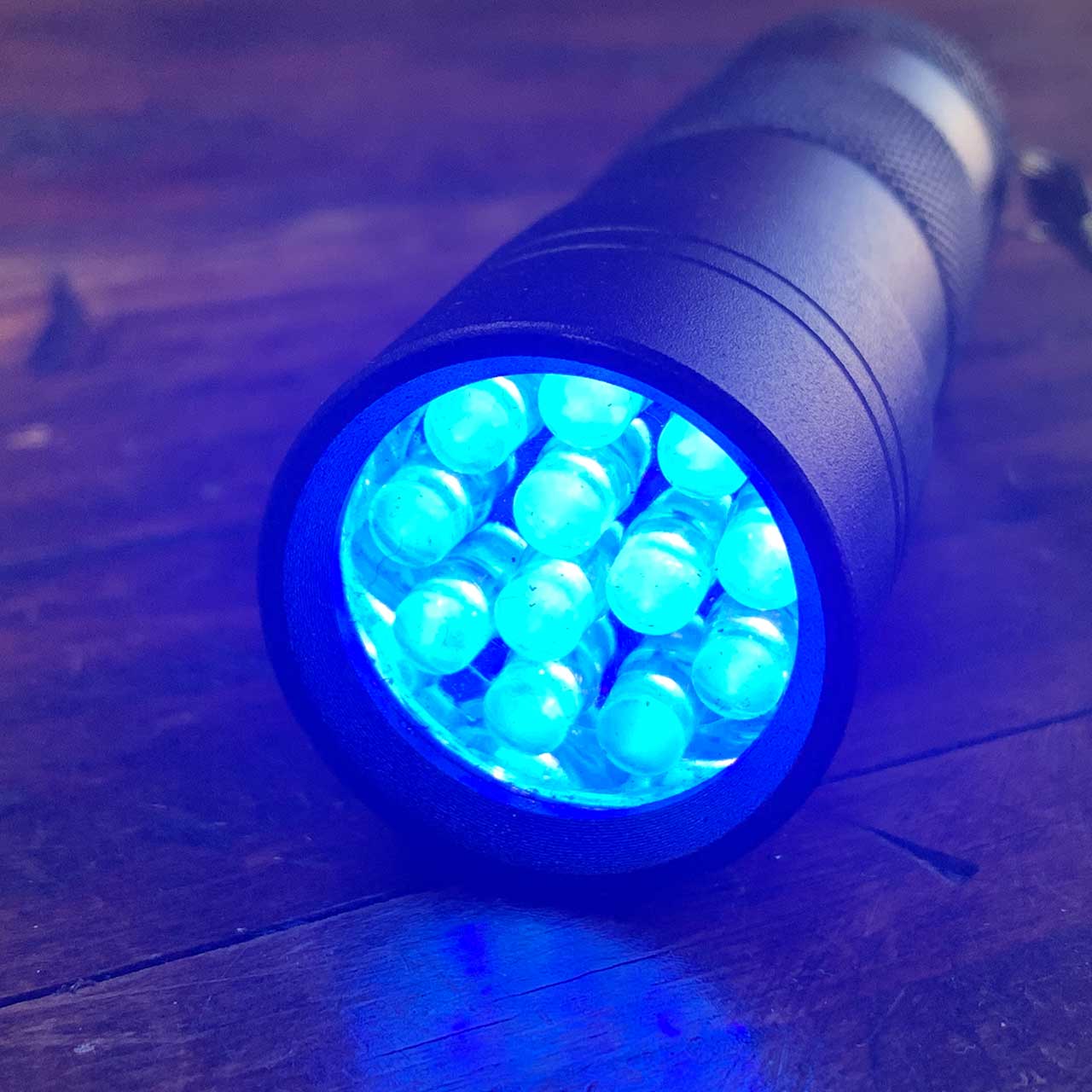 UV 12 LED Black Flashlight SUC1302
